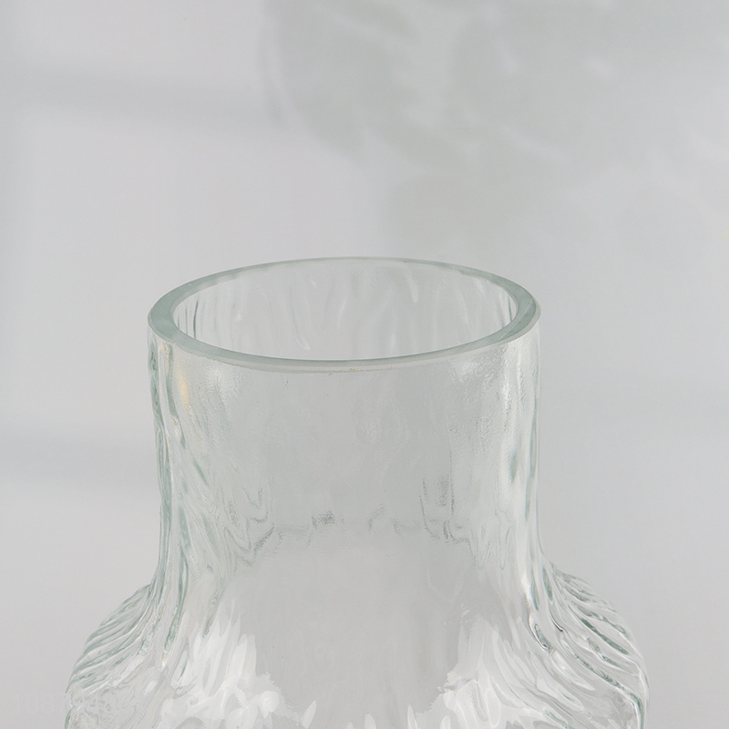 New arrival glass flower vase hydroponic vase for home decor