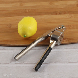 Wholesale metal garlic press mincer garlic crusher kitchen tool