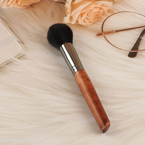 Top quality professional plastic handle makeup brush blush brush