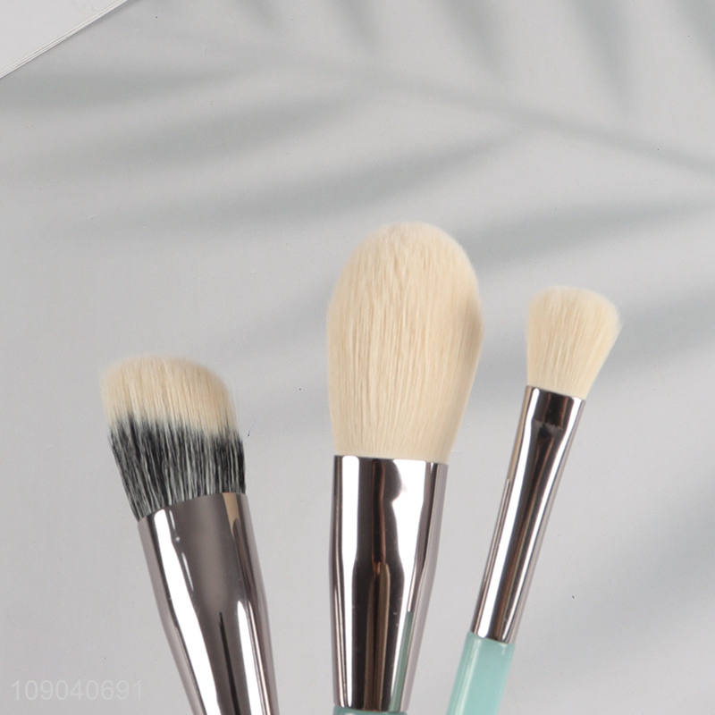 Hot Selling 6 Pieces Professional Makeup Brush Set for Everyday Use