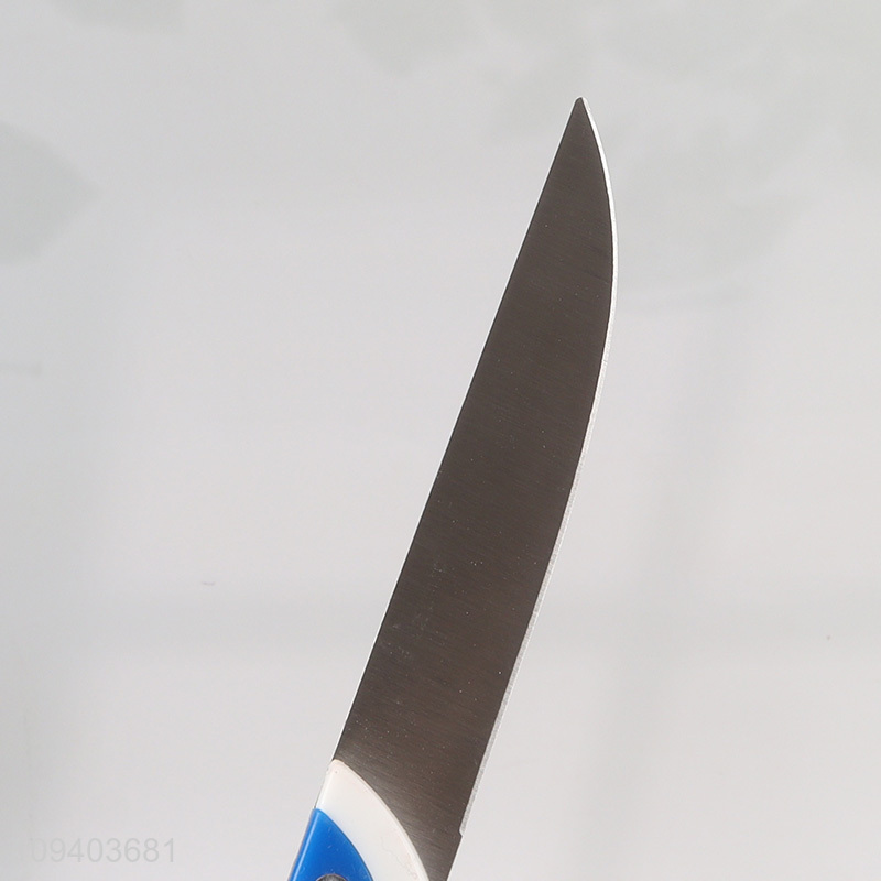 Hot selling stainless steel kitchen fruits knife