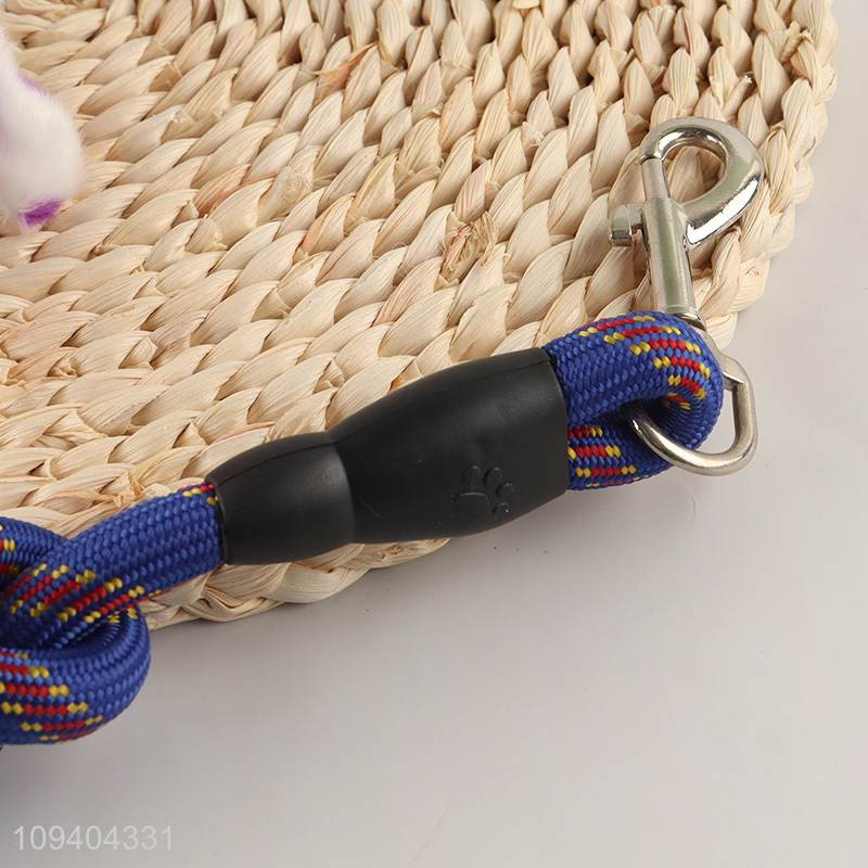 China products lightweight outdoor pet dog leash