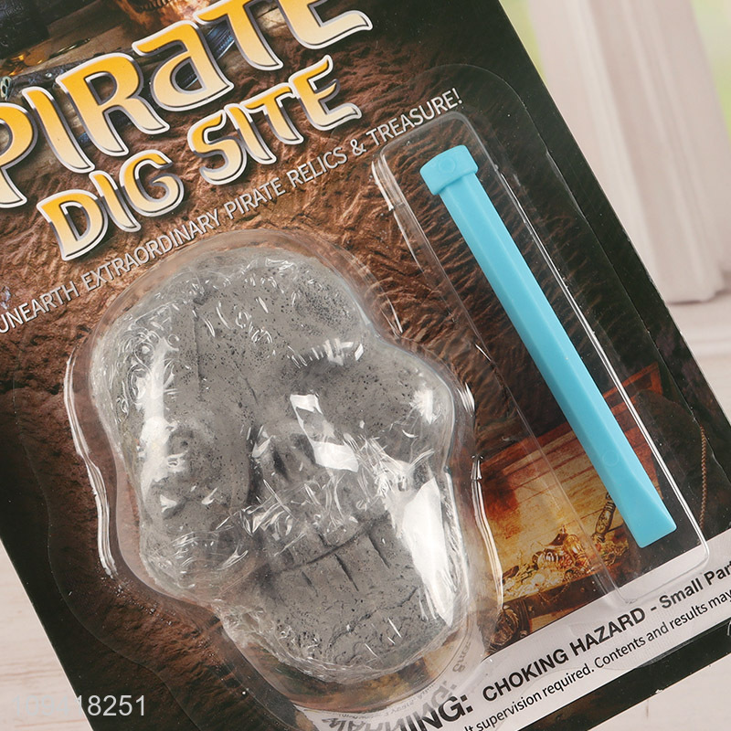 Archaeology Science Kit Pirate Dig Site Toy