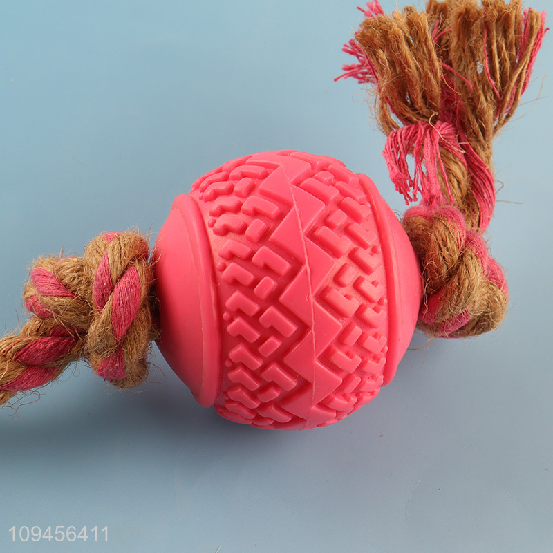 Hot selling bite-resistant pet chew toys wholesale