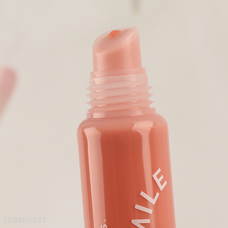 Wholesale long lasting makeup moisturizing lip gloss