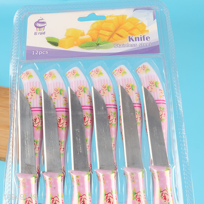 New arrival 12pcs stainless steel dinner knife set