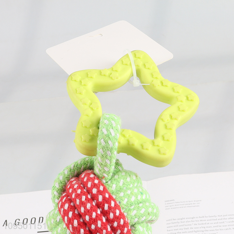 China wholesale bite-resistant pet chew toys interactive toys