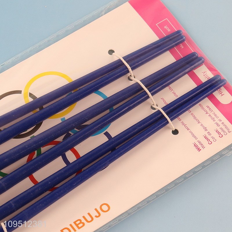 China factory plastic handle oil painting brush set