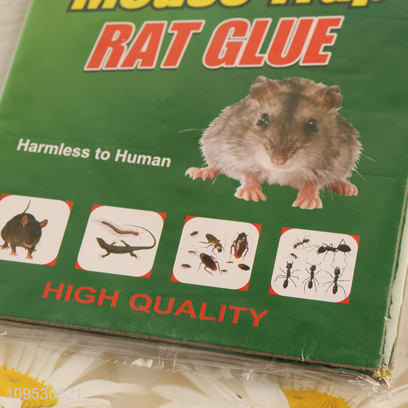 Top selling mouse glue trap rat glue board wholesale